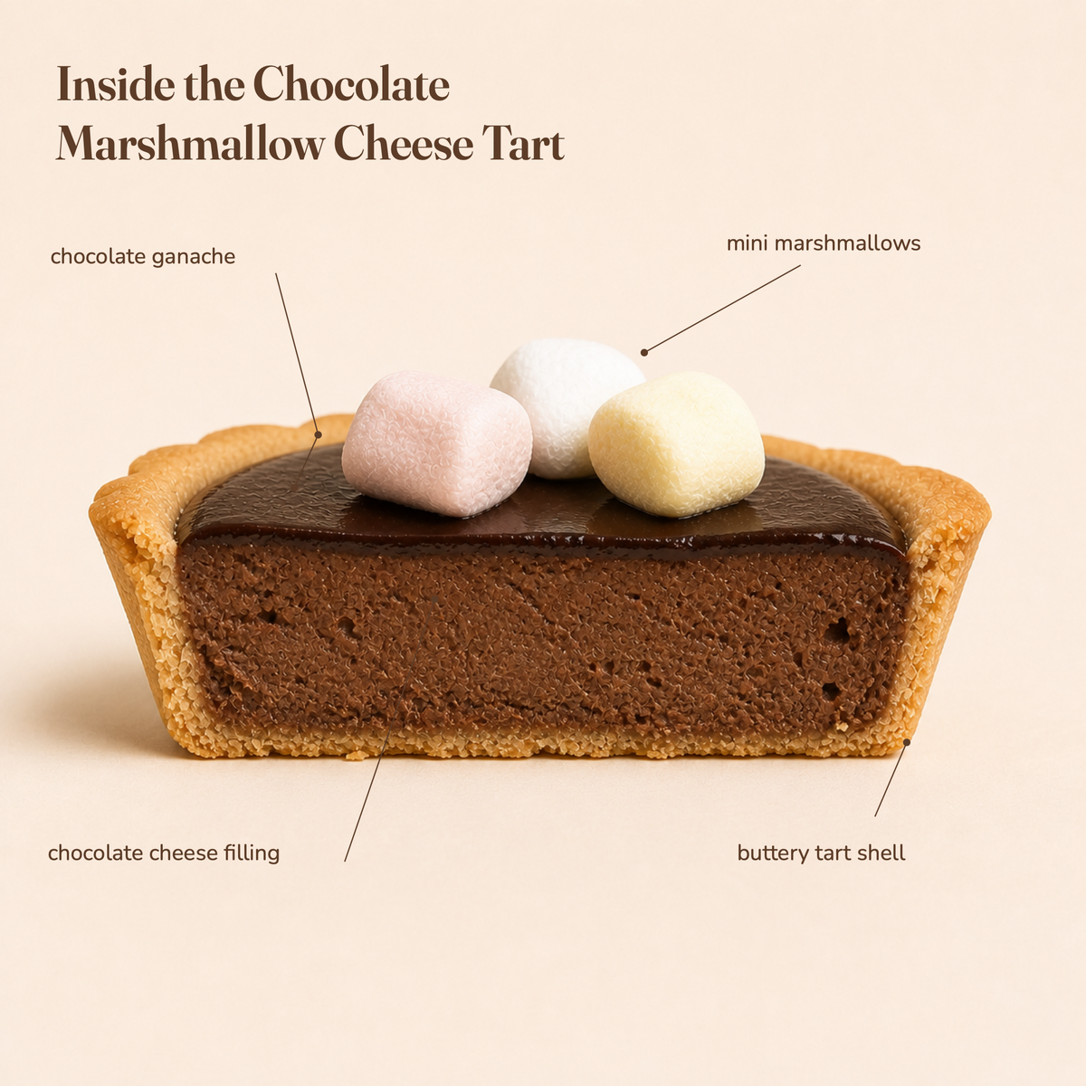 Chocolate Marshmallow Cheese Tart — product photo 2 of 5